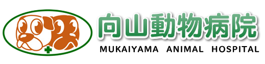 向山動物病院